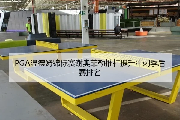 PGA温德姆锦标赛谢奥菲勒推杆提升冲刺季后赛排名