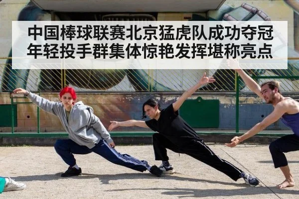 中国棒球联赛北京猛虎队成功夺冠年轻投手群集体惊艳发挥堪称亮点